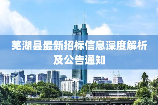 蕪湖縣最新招標(biāo)信息深度解析及公告通知