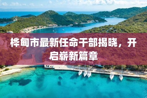 應(yīng)用案例 第573頁