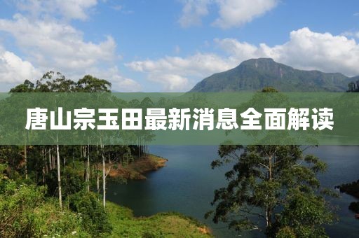 唐山宗玉田最新消息全面解讀