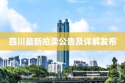 四川最新拍賣公告及詳解發(fā)布