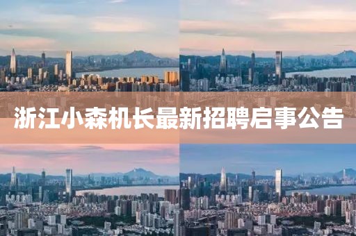 浙江小森機(jī)長(zhǎng)最新招聘啟事公告
