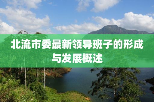 北流市委最新領(lǐng)導(dǎo)班子的形成與發(fā)展概述
