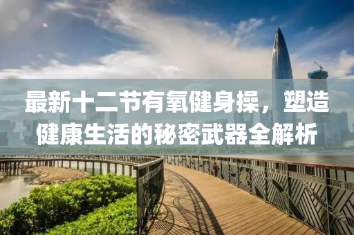 最新十二節(jié)有氧健身操，塑造健康生活的秘密武器全解析