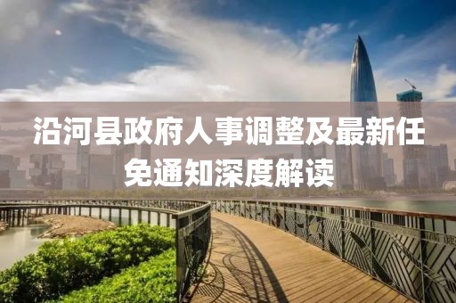 沿河縣政府人事調(diào)整及最新任免通知深度解讀