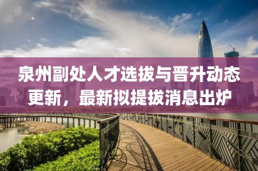 泉州副處人才選拔與晉升動態(tài)更新，最新擬提拔消息出爐