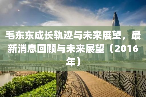 毛東東成長(zhǎng)軌跡與未來展望，最新消息回顧與未來展望（2016年）