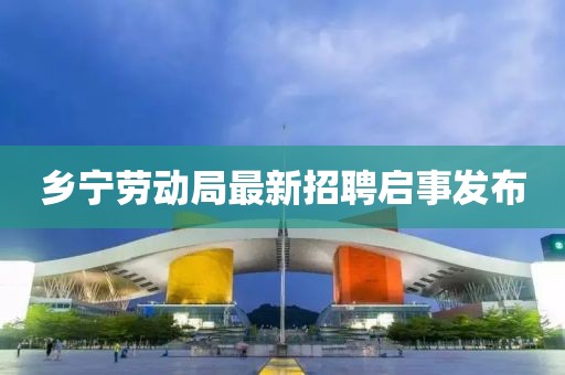 鄉(xiāng)寧勞動(dòng)局最新招聘啟事發(fā)布