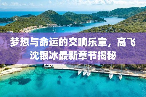 夢(mèng)想與命運(yùn)的交響樂(lè)章，高飛沈銀冰最新章節(jié)揭秘