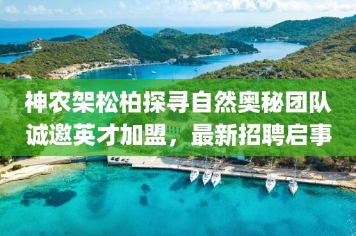 神農架松柏探尋自然奧秘團隊誠邀英才加盟，最新招聘啟事