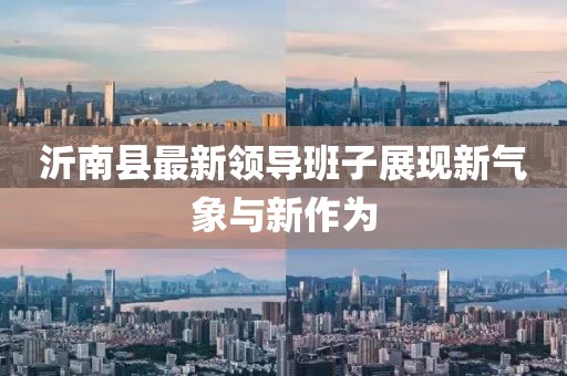 沂南縣最新領(lǐng)導班子展現(xiàn)新氣象與新作為