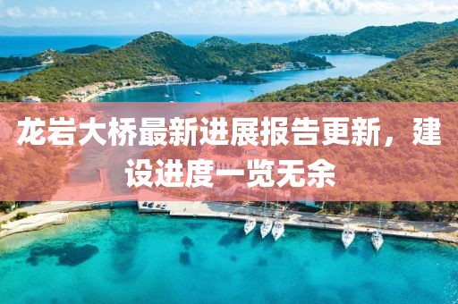 龍巖大橋最新進(jìn)展報告更新，建設(shè)進(jìn)度一覽無余