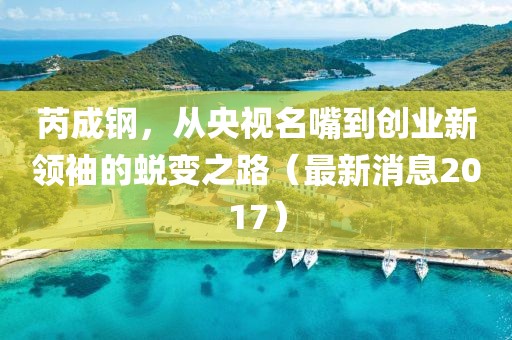 芮成鋼，從央視名嘴到創(chuàng)業(yè)新領(lǐng)袖的蛻變之路（最新消息2017）