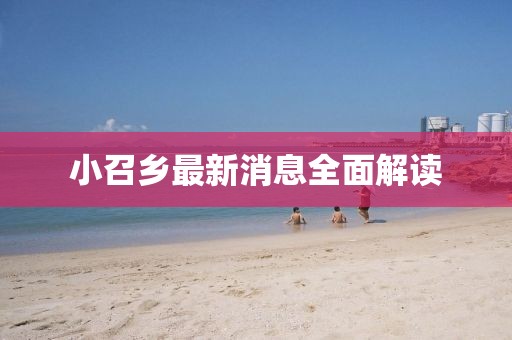 小召鄉(xiāng)最新消息全面解讀