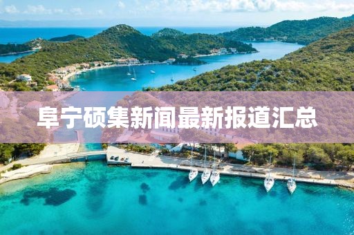 阜寧碩集新聞最新報(bào)道匯總