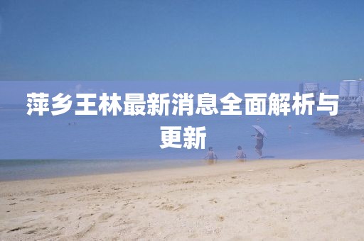 萍鄉(xiāng)王林最新消息全面解析與更新
