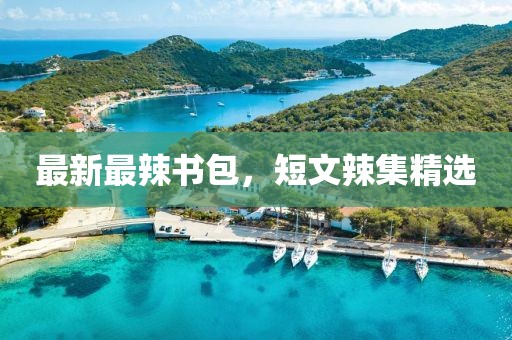 最新最辣書(shū)包，短文辣集精選