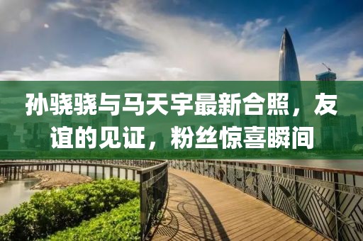 孫驍驍與馬天宇最新合照，友誼的見證，粉絲驚喜瞬間
