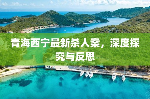 青海西寧最新殺人案，深度探究與反思