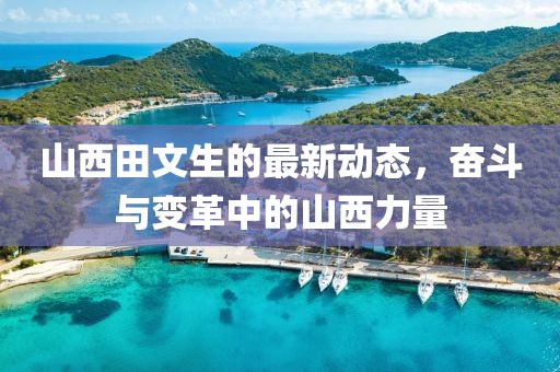 山西田文生的最新動態(tài)，奮斗與變革中的山西力量