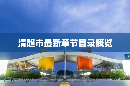 清超市最新章節(jié)目錄概覽