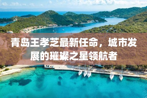 青島王孝芝最新任命，城市發(fā)展的璀璨之星領(lǐng)航者