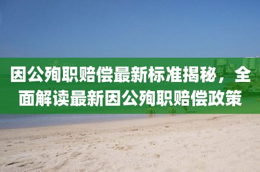 因公殉職賠償最新標(biāo)準(zhǔn)揭秘，全面解讀最新因公殉職賠償政策