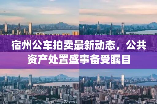 宿州公車拍賣最新動態(tài)，公共資產(chǎn)處置盛事備受矚目