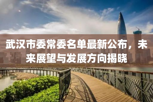 武漢市委常委名單最新公布，未來展望與發(fā)展方向揭曉