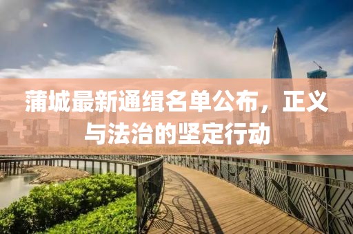 蒲城最新通緝名單公布，正義與法治的堅(jiān)定行動(dòng)