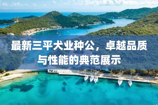 最新三平犬業(yè)種公，卓越品質(zhì)與性能的典范展示