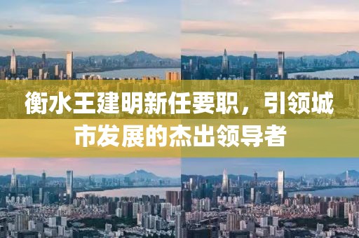 衡水王建明新任要職，引領(lǐng)城市發(fā)展的杰出領(lǐng)導(dǎo)者