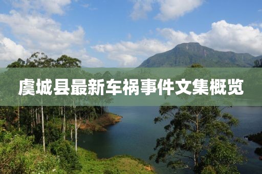 虞城縣最新車禍事件文集概覽