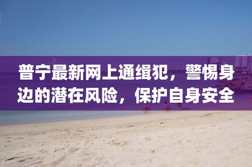 普寧最新網(wǎng)上通緝犯，警惕身邊的潛在風(fēng)險(xiǎn)，保護(hù)自身安全