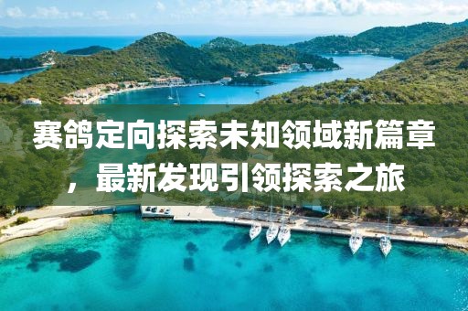 賽鴿定向探索未知領(lǐng)域新篇章，最新發(fā)現(xiàn)引領(lǐng)探索之旅