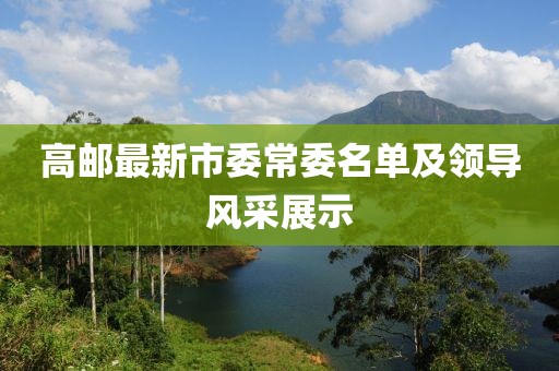 高郵最新市委常委名單及領導風采展示