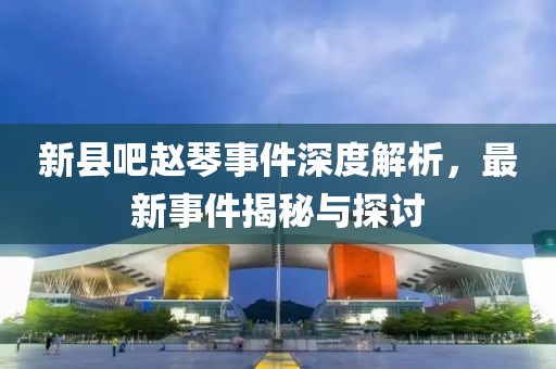 新縣吧趙琴事件深度解析，最新事件揭秘與探討