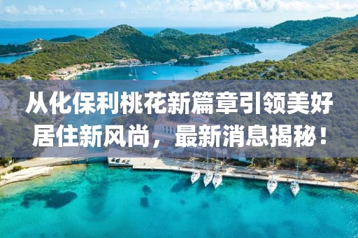 言清歡 第20頁