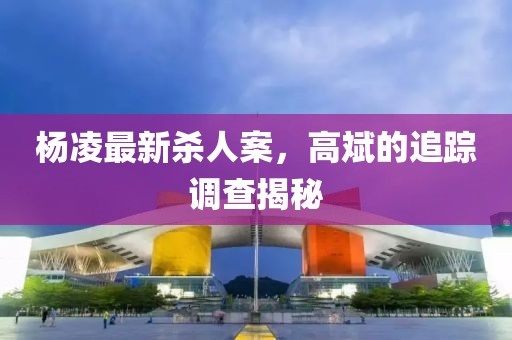 楊凌最新殺人案，高斌的追蹤調(diào)查揭秘