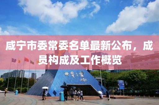 咸寧市委常委名單最新公布，成員構(gòu)成及工作概覽