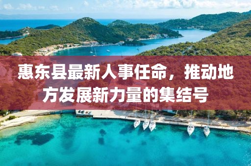 惠東縣最新人事任命，推動(dòng)地方發(fā)展新力量的集結(jié)號(hào)
