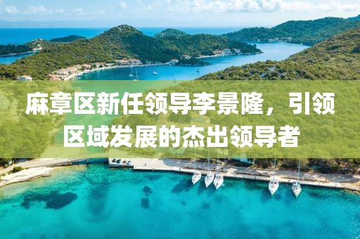 麻章區(qū)新任領導李景隆，引領區(qū)域發(fā)展的杰出領導者
