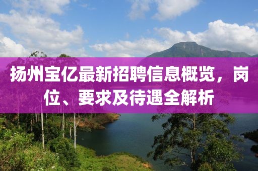 揚州寶億最新招聘信息概覽，崗位、要求及待遇全解析