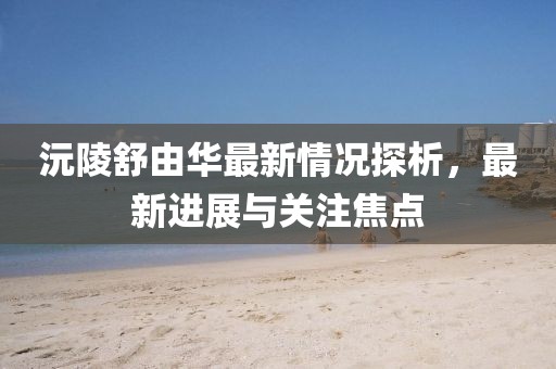 沅陵舒由華最新情況探析，最新進(jìn)展與關(guān)注焦點(diǎn)