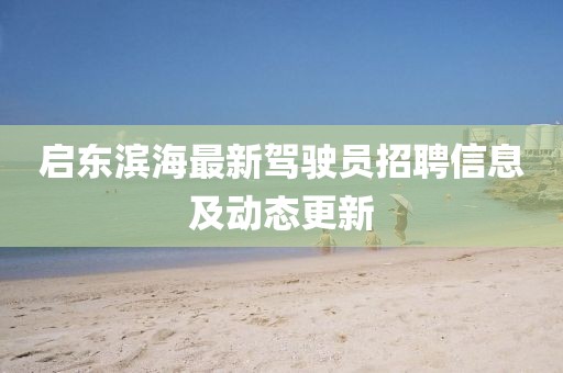 啟東濱海最新駕駛員招聘信息及動態(tài)更新