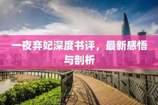 一夜棄妃深度書評，最新感悟與剖析