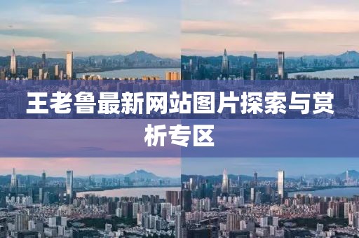 王老魯最新網(wǎng)站圖片探索與賞析專(zhuān)區(qū)