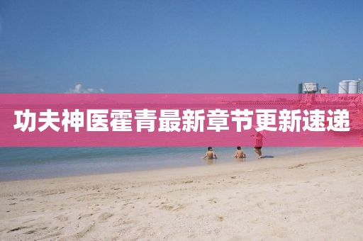 功夫神醫(yī)霍青最新章節(jié)更新速遞