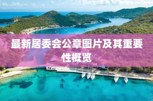 最新居委會公章圖片及其重要性概覽
