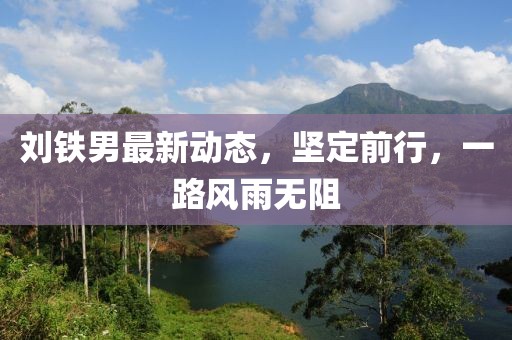 劉鐵男最新動態(tài)，堅定前行，一路風雨無阻