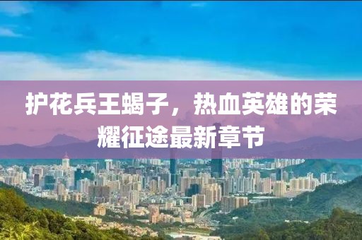 護(hù)花兵王蝎子，熱血英雄的榮耀征途最新章節(jié)